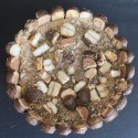 Bokkepootjestaart